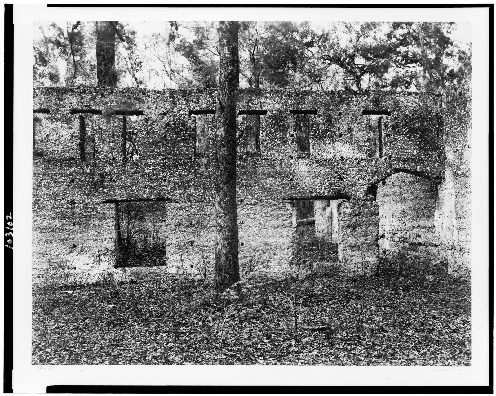 Ruin of tabby (shell) construction, St. Mary's, Georgia / Walker Evans., [1936, printed 1974?] — historic photograph
