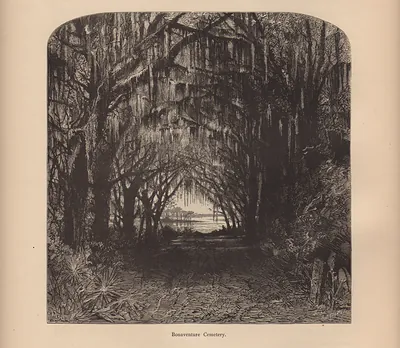 Bonaventure Cemetery, avenue of oaks hung with Spanish moss
