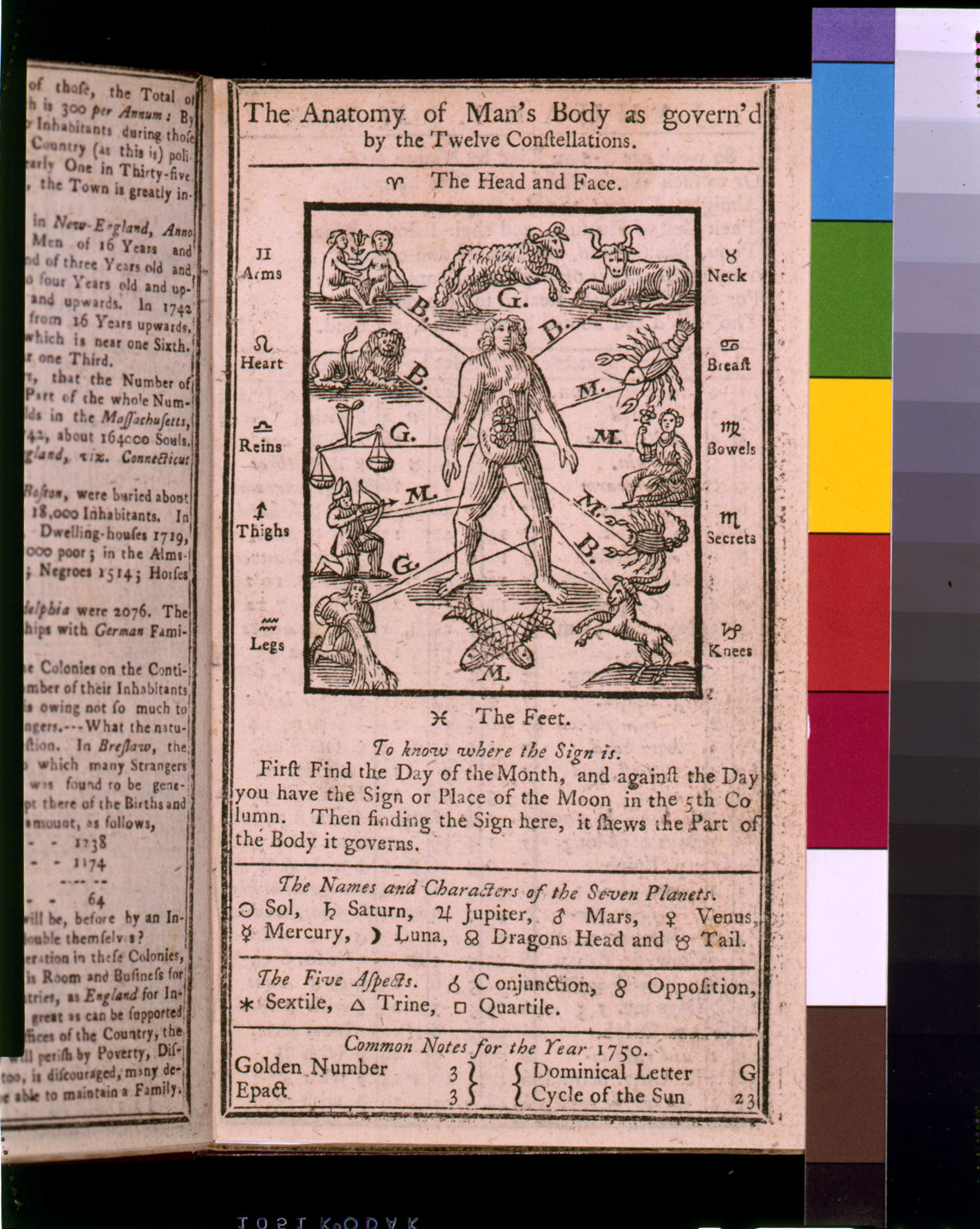 The anatomy of man's body, as governed by the twelve constellations, [published 1750(?)] — antique engraving