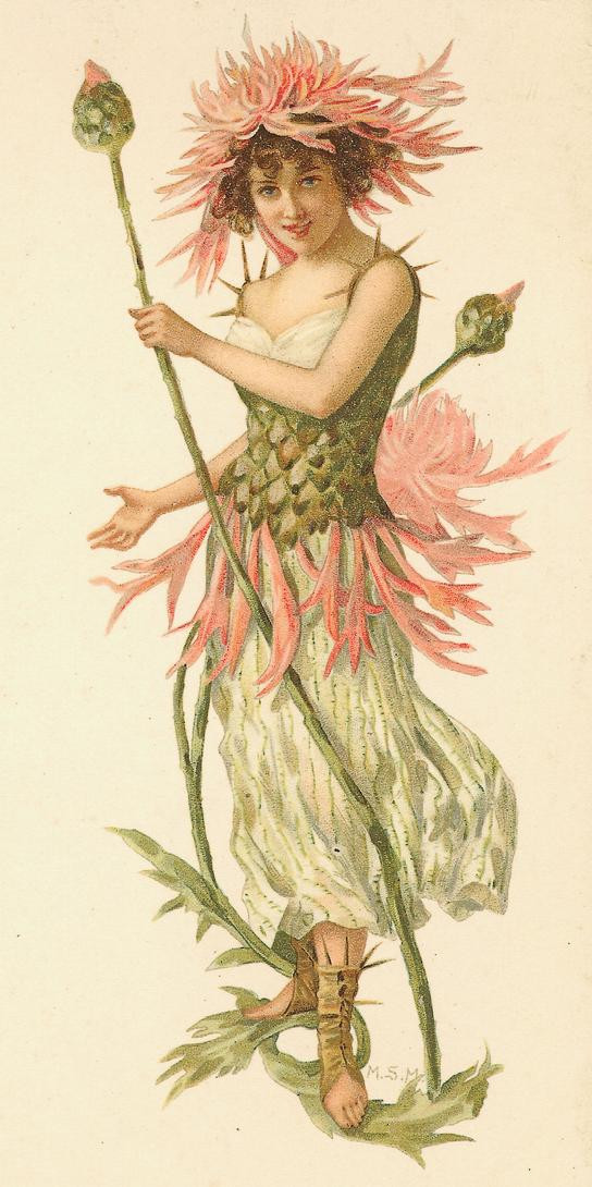 Thistle fairy with pink flower crown and spiked staff — historic image