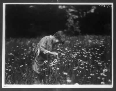 Quentin Roosevelt looking for June bugs, Sagamore Hill