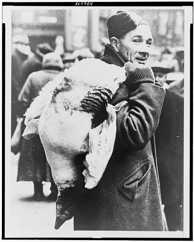 Christmas goose