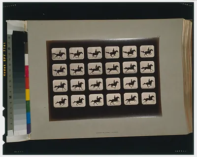 Muybridge-style sequence of a horse and rider in 24 frames