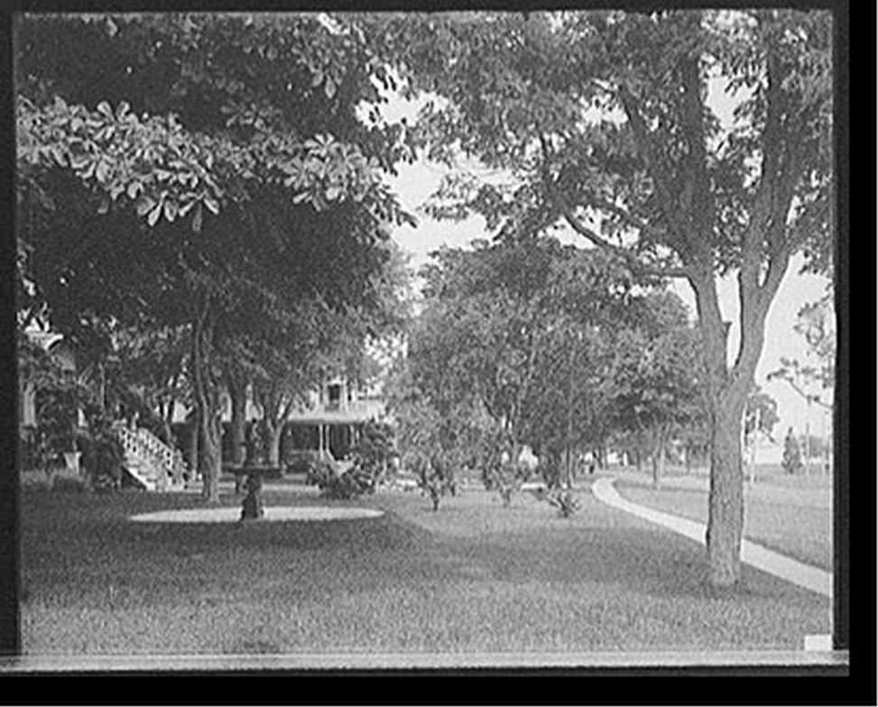 [Cottages along water front, Prospect Point, Shelter Island, N.Y.], [between 1900 and 1910] — historic photograph
