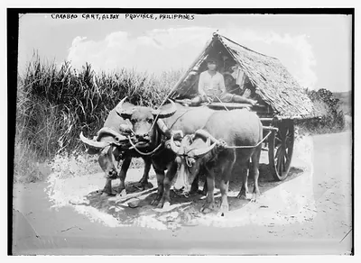 Carabad Cart, Albay Province, Philippines