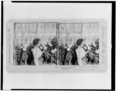 Shall I or Shall I Not? White House conservatory Washington D.C.