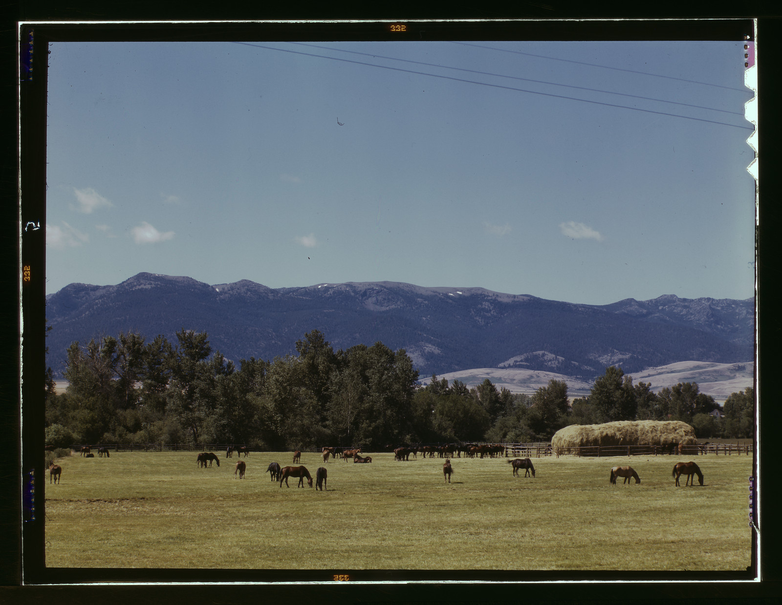 Horses grazing in a pasture below mountains, with haystack — historic image