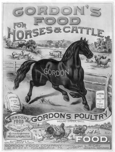Gordon's food for horses & cattle
