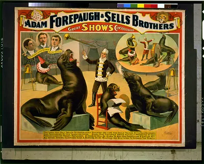 Adam Forepaugh & Sells Brothers great shows consolidated