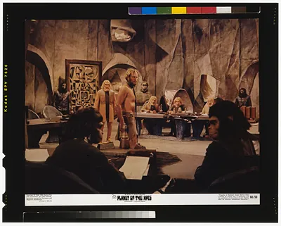 Planet of the apes
