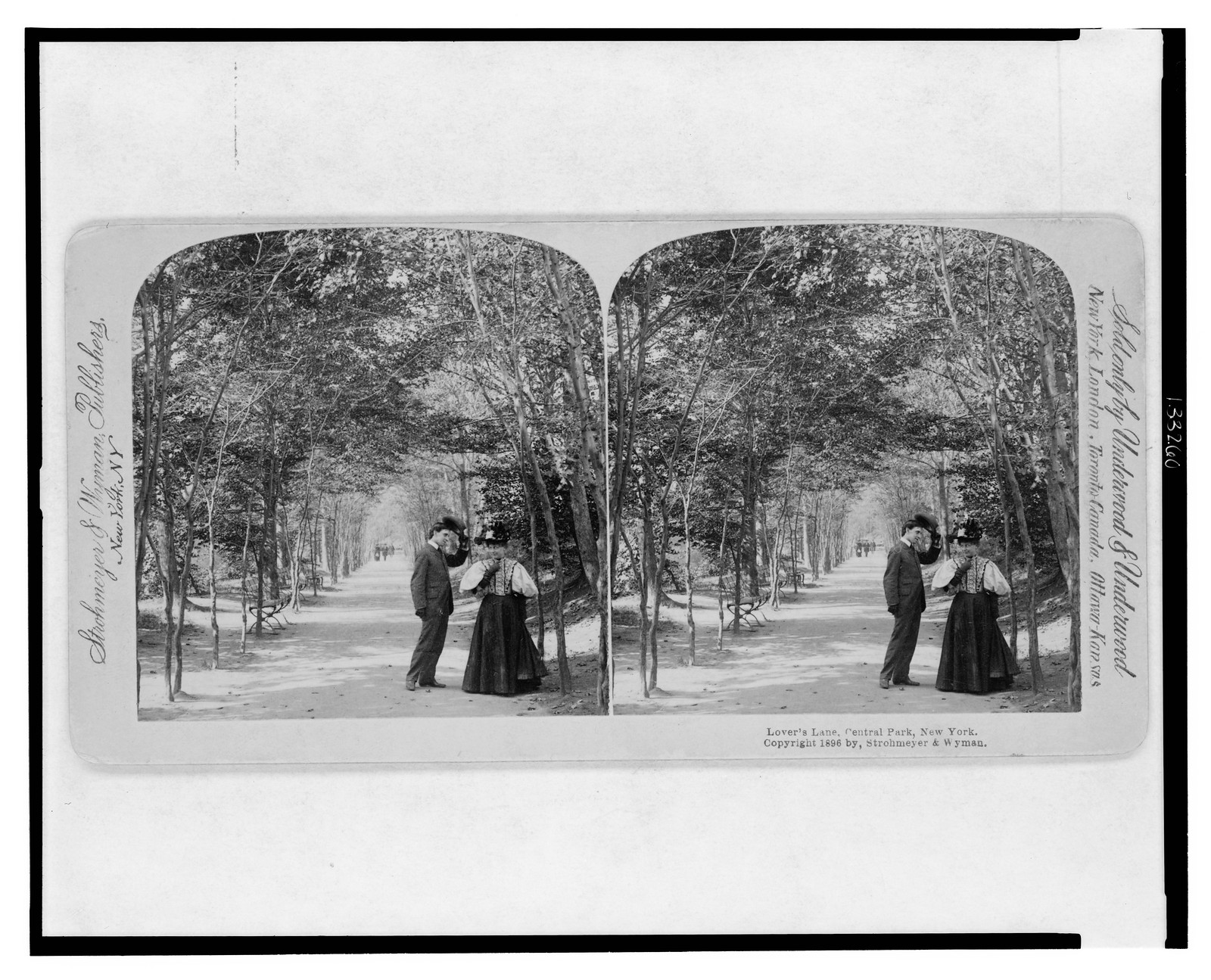 Lover's lane, Central Park, New York, New York, N.Y. : Strohmeyer & Wyman, Publishers, c1896 Nov. 23. — historic photograph