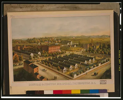 Douglas & Stanton Hospitals, Washington,D.C. / lith. & print. by Chas. Magnus, N.Y.