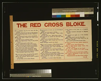 The Red Cross bloke