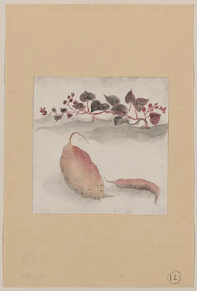 [Japanese drawing]