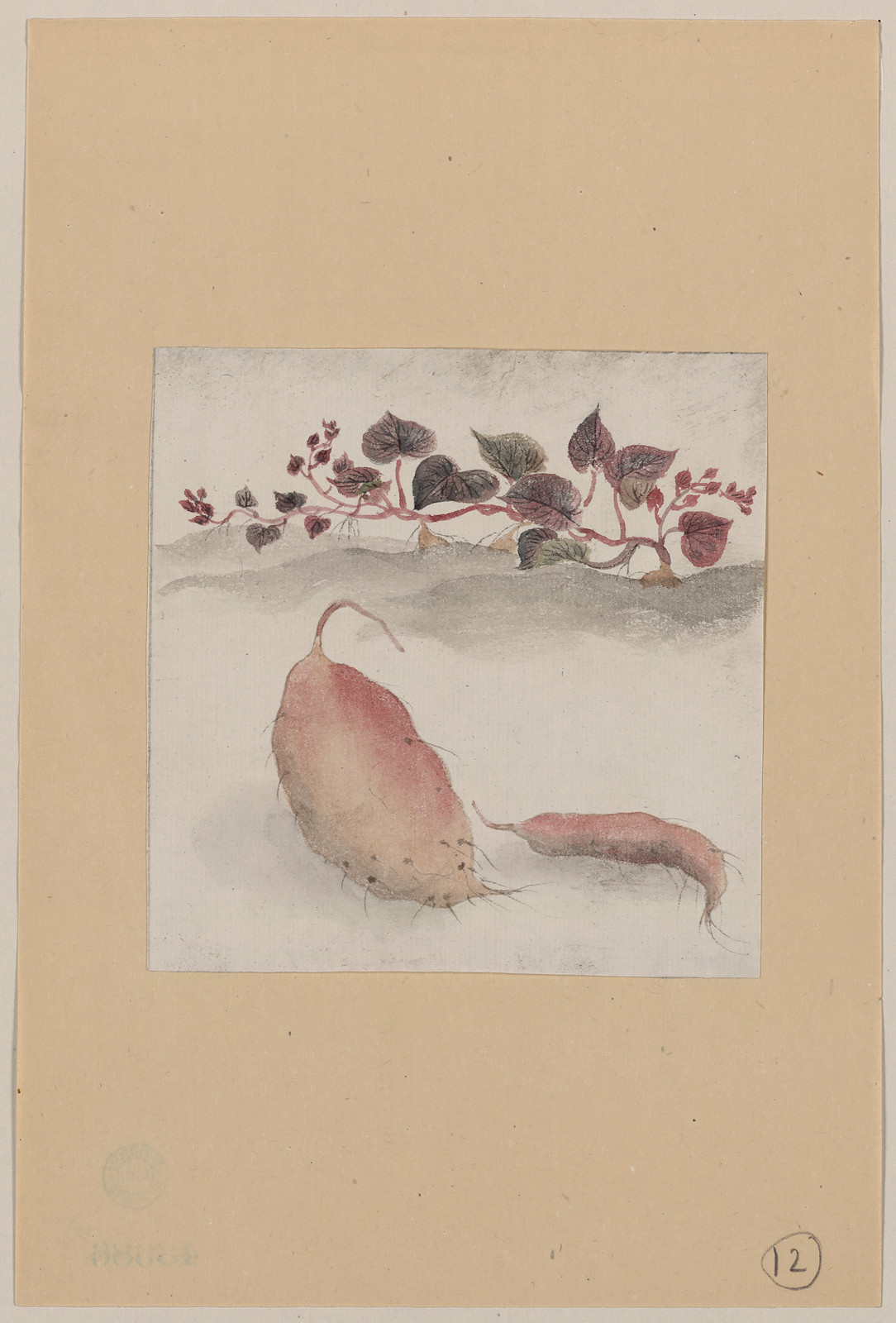 [Japanese drawing], 1750 — historic drawing