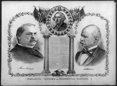 Democratic platform and presidential nominees