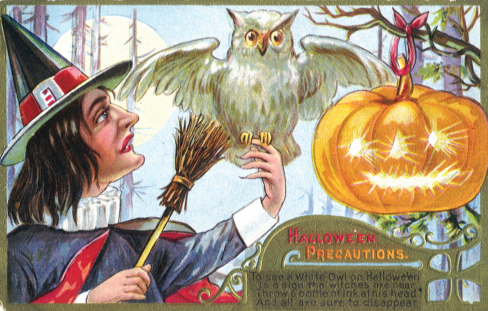 Halloween Precautions witch postcard with owl and jack-o'-lantern — vintage postcard