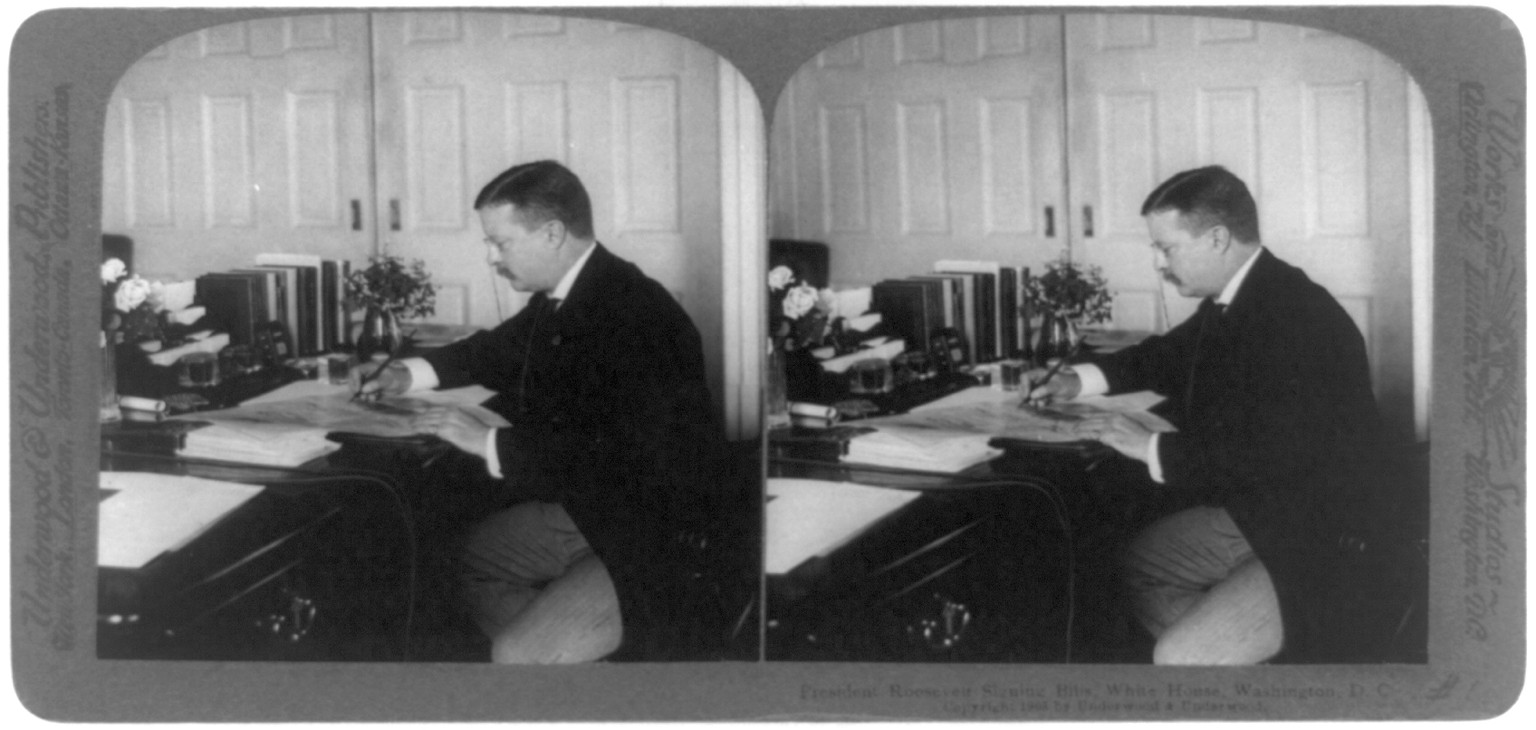 President Roosevelt signing bills, White House, Washington, D.C., New York : Underwood & Underwood, c1903. — stereograph