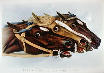 Head and head at the winning post