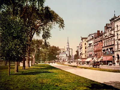 Tree-lined street with church steeple and horse carriages
