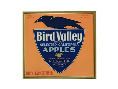 Bird Valley Brand Selected California Apples crate label