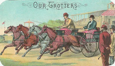 Our Trotters: four horses pulling a racing carriage