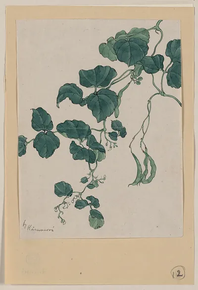 [Japanese drawing]