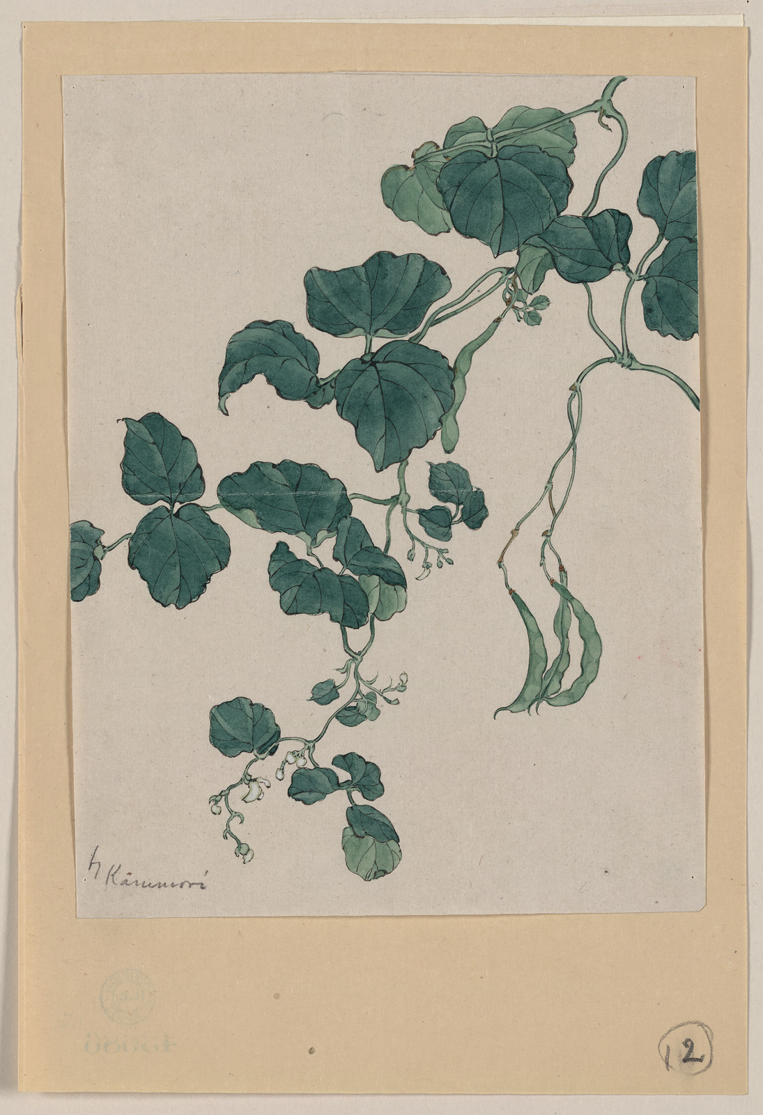 [Japanese drawing], 1750 — historic drawing