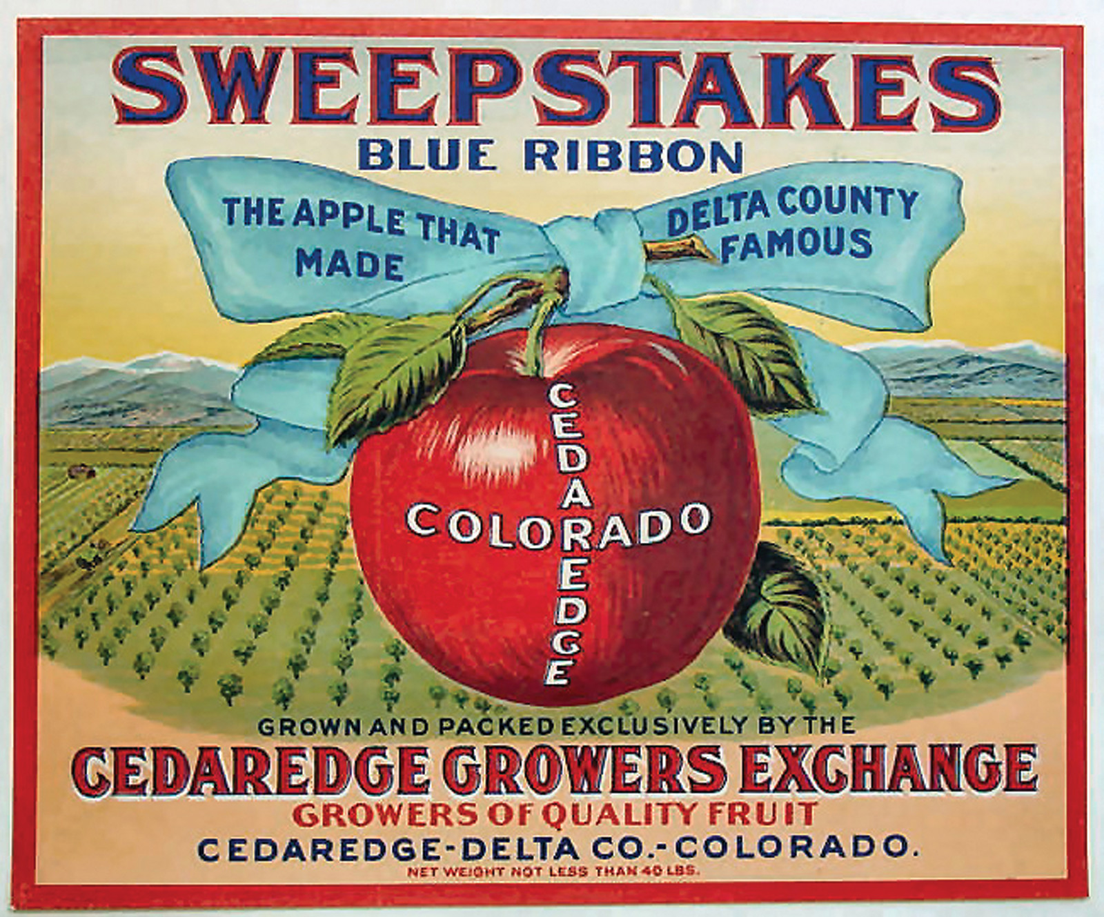 Sweepstakes Blue Ribbon apple crate label, Cedaredge Colorado — historic image