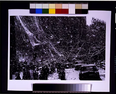 [Ticker tape parade for presidential candidate Richard M. Nixon, New York, November 1960]