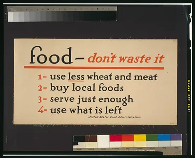 Food - don't waste it