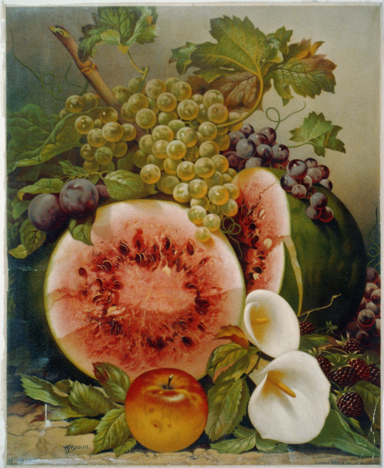 Autumn fruits, [no date recorded on shelflist card] — historic print