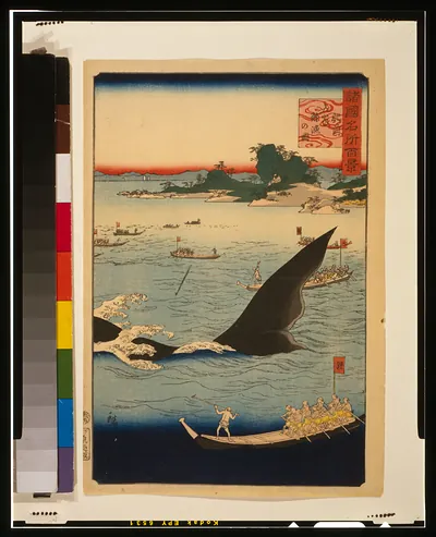 Hizen gotō kujiraryō no zu