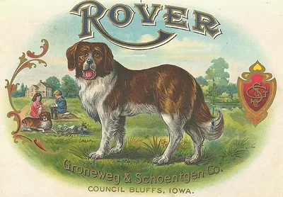 Rover cigar box label with St. Bernard dog