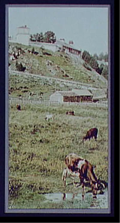 Old Fort Mackinac from the pasture