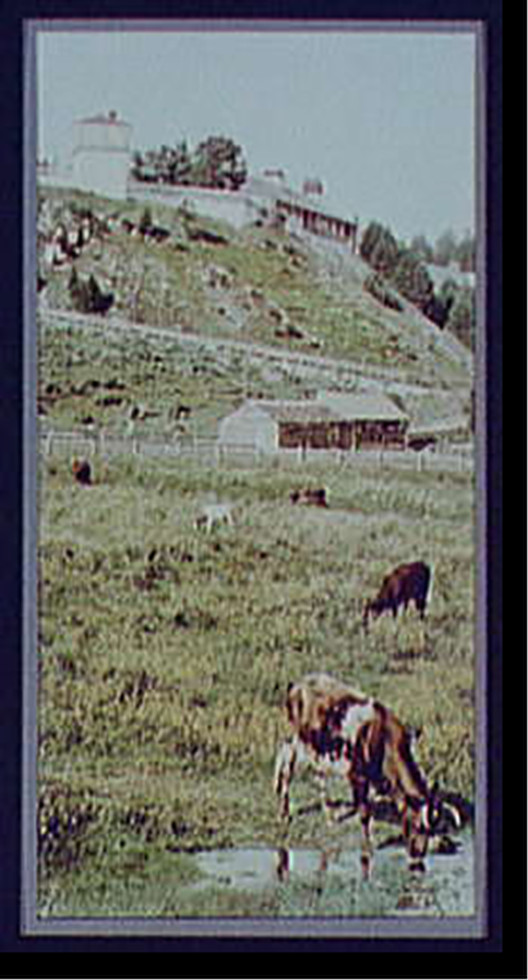Old Fort Mackinac from the pasture, [ca. 1900] — historic print