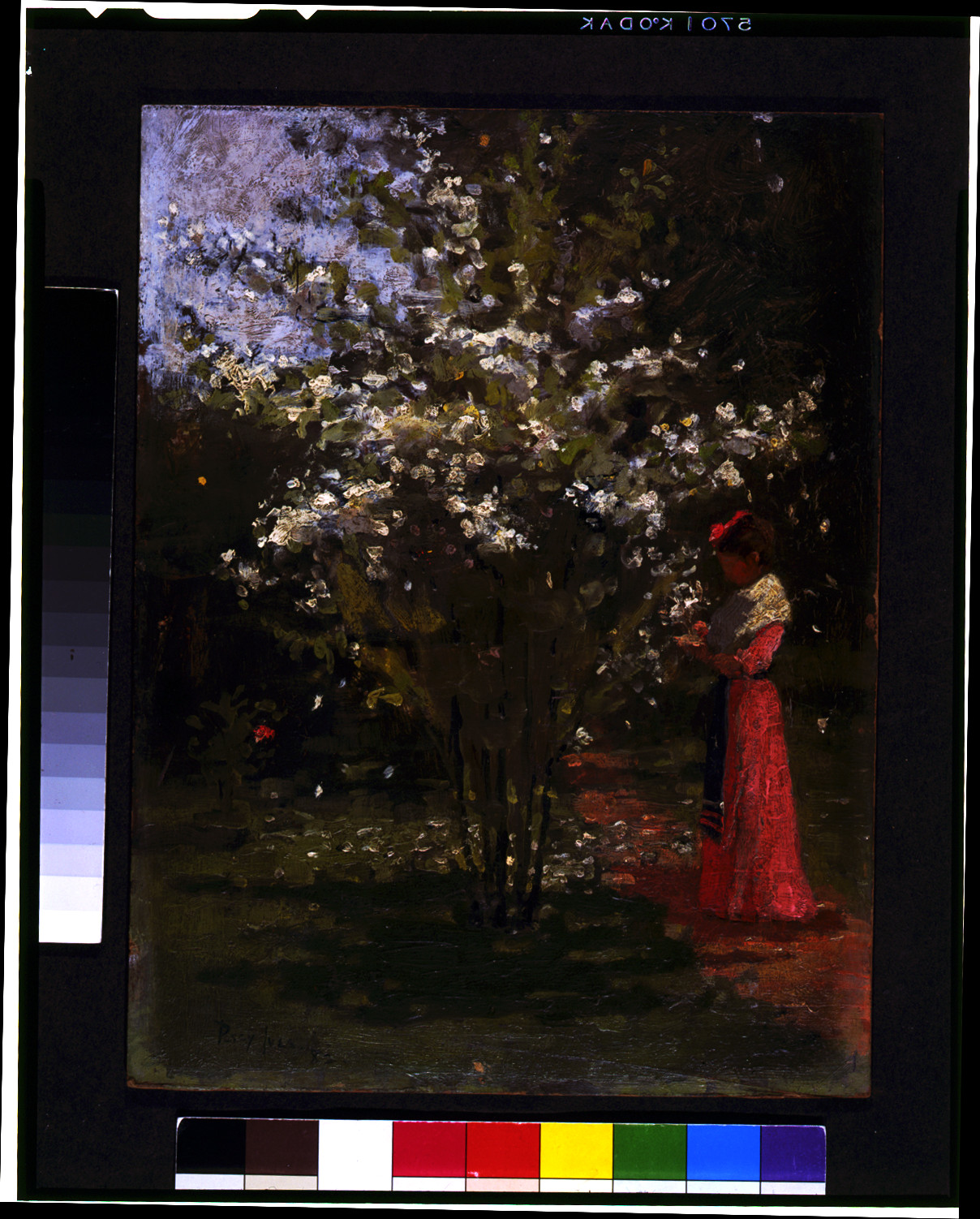 [Woman standing by flowering tree] / Percy Ives., [18]82. — historic image