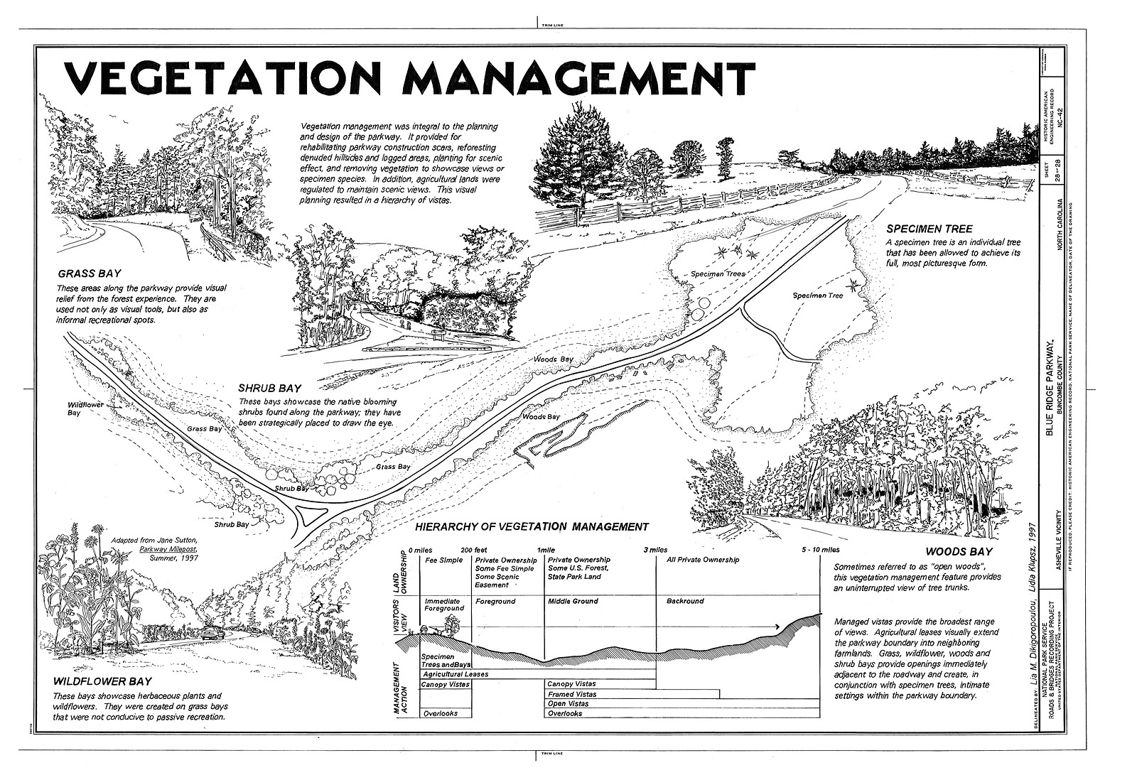 Vegetation Management — historic image