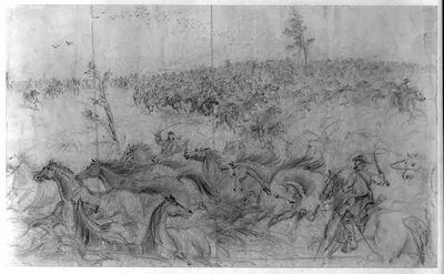 [A stampede of army horses]