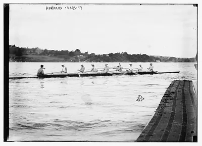 Harvard varsity