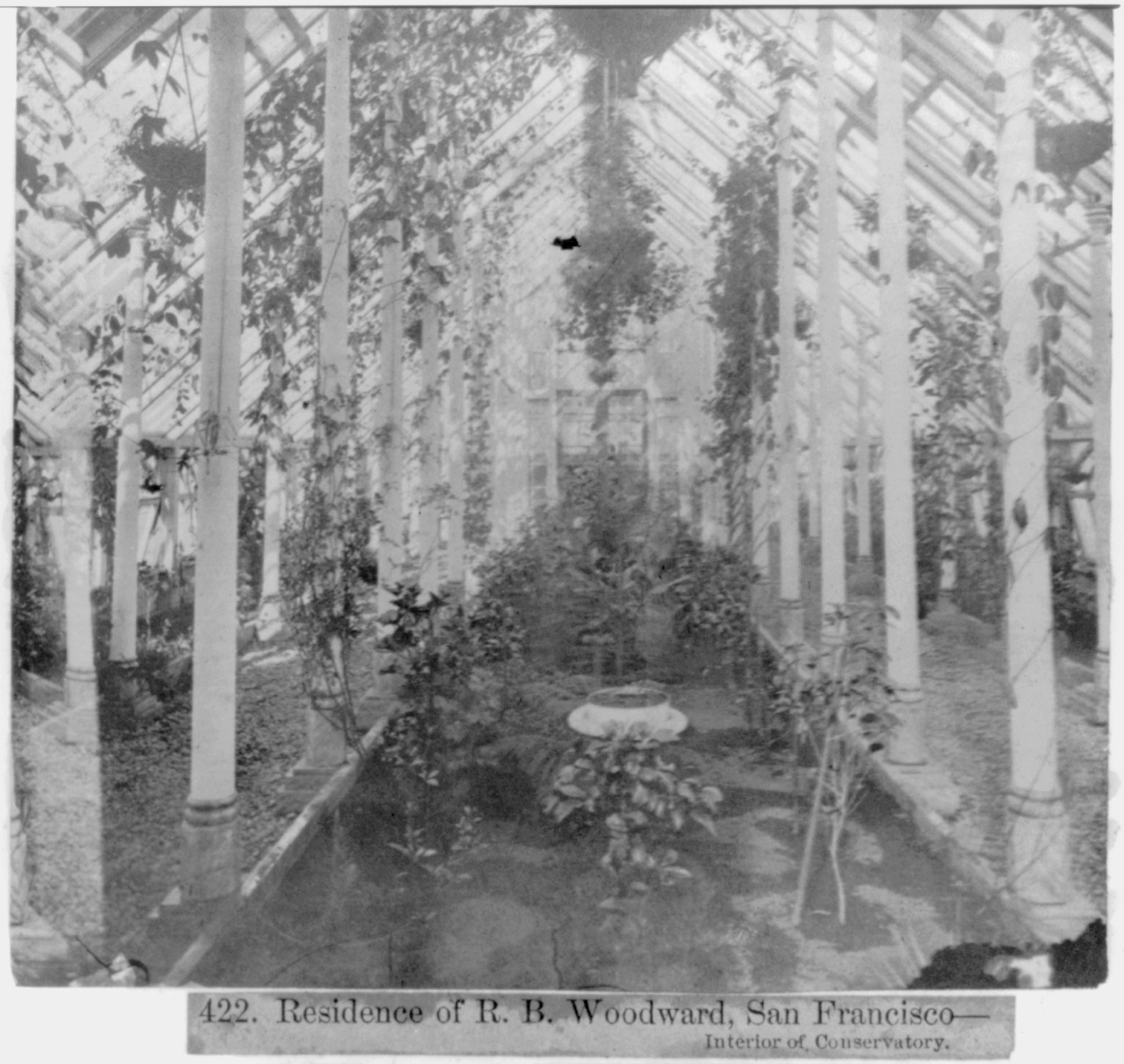 Residence of R.B. Woodward, San Francisco--interior of Conservatory, [published 1866] — historic photograph