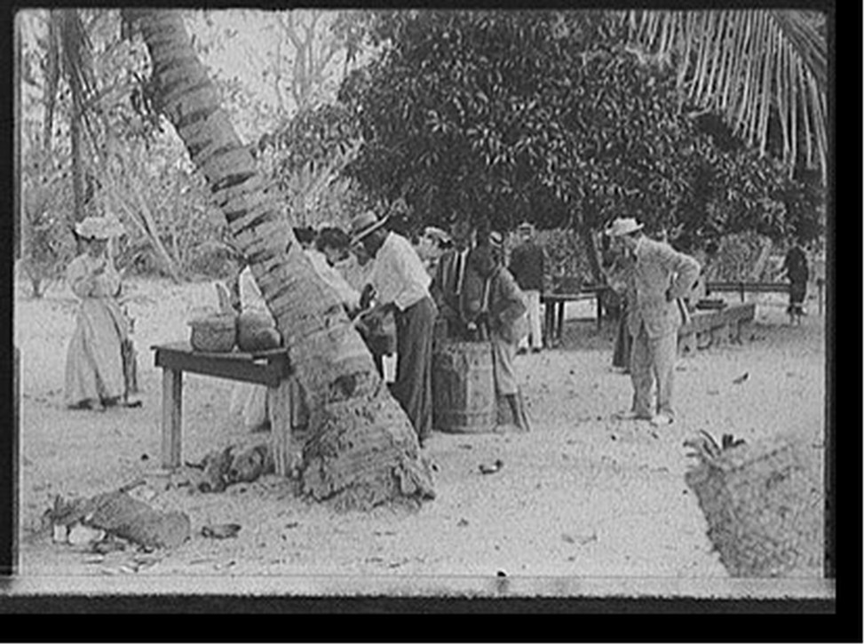 [Tourists buying coconuts and fruit from vendor, probably Nassau, Bahamas], [between 1900 and 1915] — historic photograph
