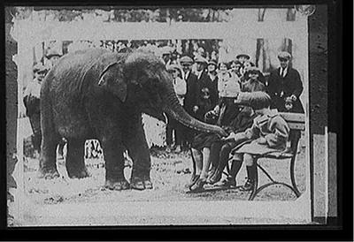 [Sheba eating out of children's hand]