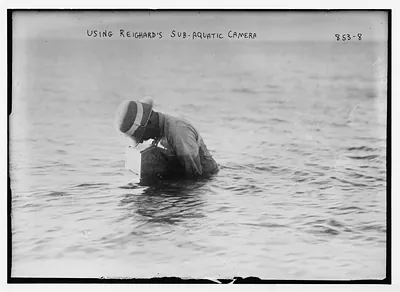 Photographer in water using Reighard's sub-aquatic camera