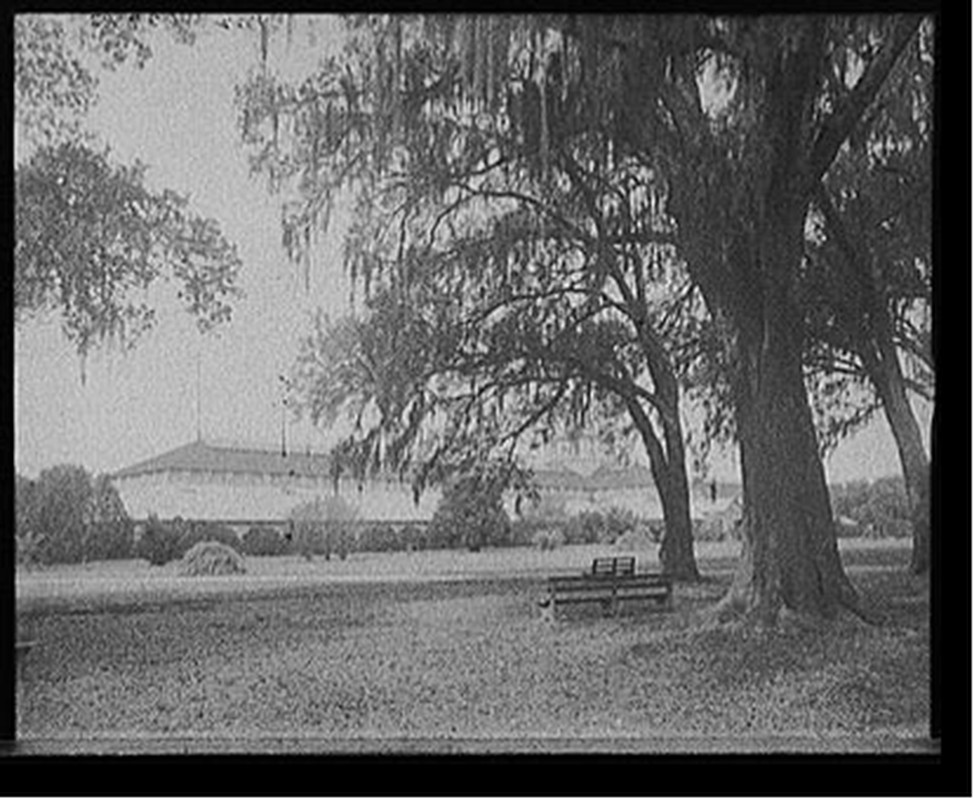 [Horticultural hall, Audubon Park, New Orleans, La.], [between 1900 and 1910] — historic photograph