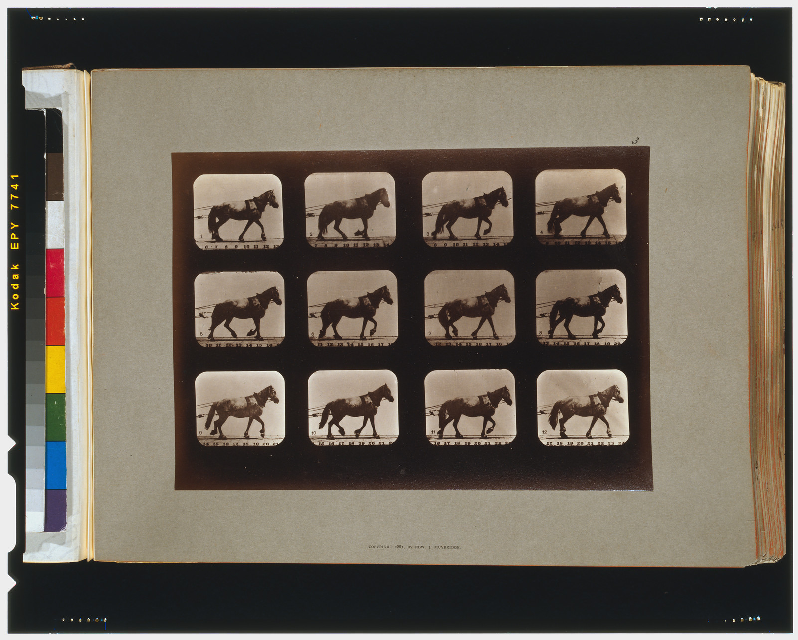 Horses. Hauling, [San Francisco] : Muybridge, c1881. — historic photograph