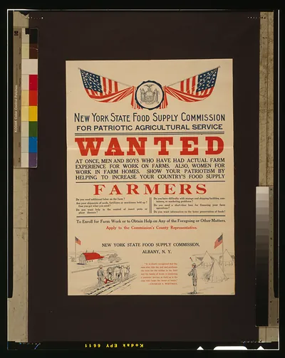 For patriotic agricultural service--wanted at once, men and boys who have had actual farm experience [...]