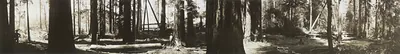 Mendocino County, California, 1911