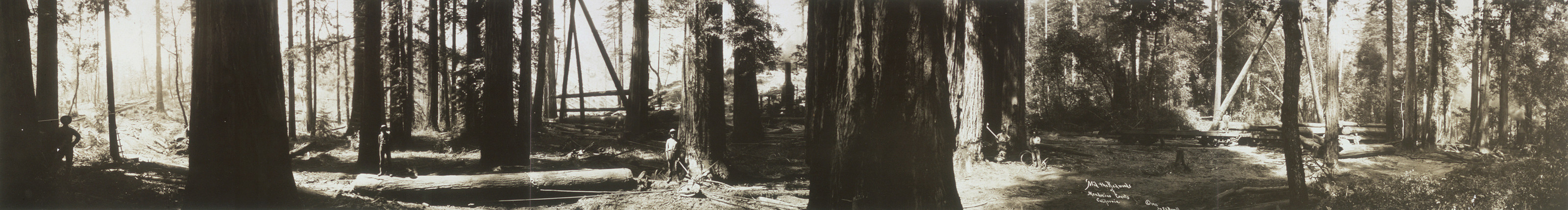 Mendocino County, California, 1911, 1911 — historic image