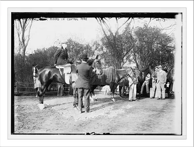 In horseback riding ring, Central Park, New York
